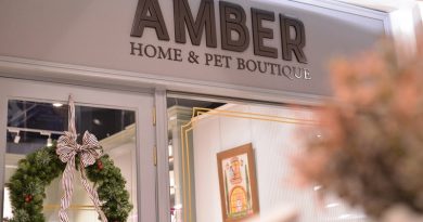 AMBER HOME & PET BOUTIQUE ไอเดียของแต่งบ้านมีสไตล์